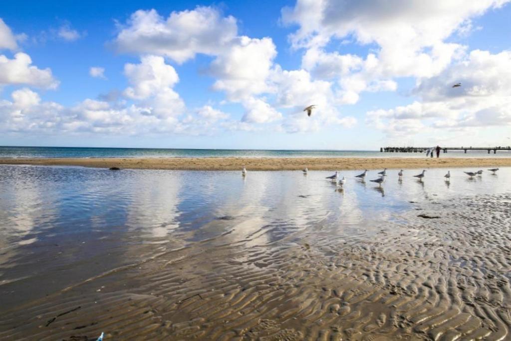Ferienwohnung Seesternchen 2 Scharbeutz Exteriör bild